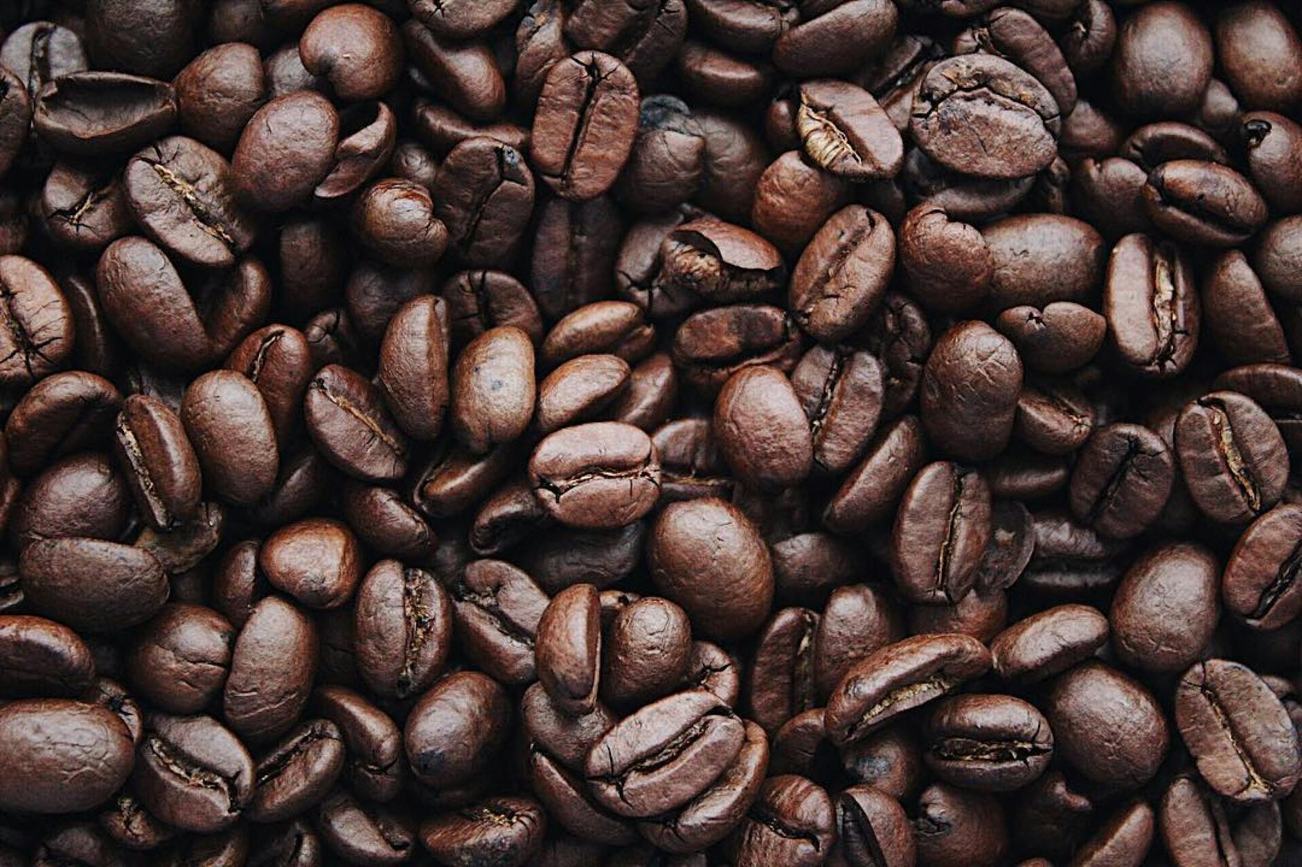 Photo by Igor Haritanovich on <a href="https://www.pexels.com/photo/coffee-beans-1695052/" rel="nofollow">Pexels.com</a>